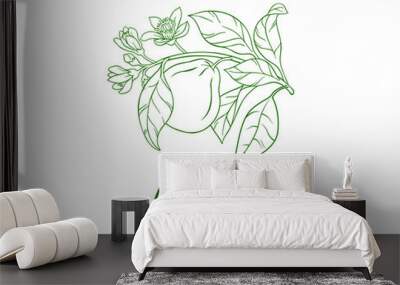 bergamot essential oil icon, line art vector illustration  Wall mural