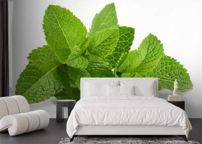 Fresh leaf mint green herbs ingredient for mojito drink, isolated on white background. Wall mural