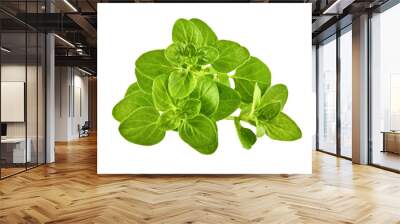 Oregano Herb green leaves bunch. Fresh oregano spicy herb for cooking. Gardening farming, isolated on white background. PNG Wall mural