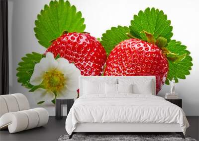 Strawberries with green leaf and flowers, isolated on white background. Wall mural