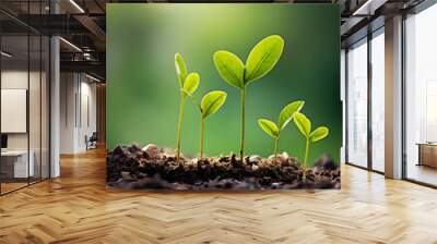 plant sprout growing environment concept Wall mural