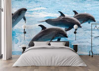 two dolphins jumping Wall mural