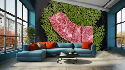 Closeup of slices of raw wagyu beef on evergreen leaves on a board Wall mural