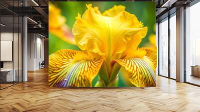 beautiful yellow bright iris macro Wall mural