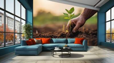 Farmer's Hands Planting Seedling in Regenerative Agriculture Field: Close-Up Shot. Sustainable Farming and Eco-Friendly Agriculture Concept. Wall mural