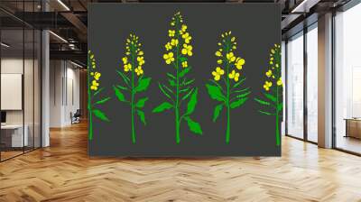 Canola, mustard. Vector color plant. Organic set Wall mural