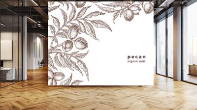 Vector pecan plant, nuts. Vintage botany sketch Wall mural