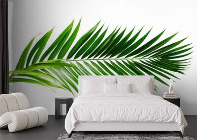 Palm branches in the corners, tropical plants decoration elements Wall mural