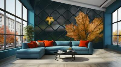 two maple leaves on the background of the fence. fall foliage. High Quality Photo Wall mural