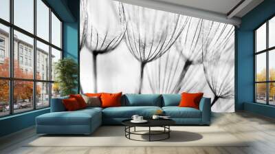 Abstract dandelion flower background Wall mural