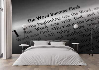 John 1:1 Wall mural