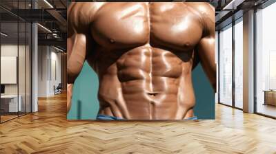 muscular male body isolated Wall mural