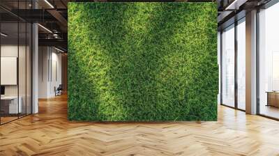 Explore Lawn Texture for Natural Landscape Backgrounds, enhancing visuals. Lush Green Grass Wall mural