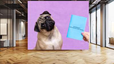 pug dog with veterinary passport immigrating or ready for a vacation Wall mural