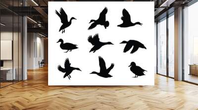 duck silhouette set in variety pose Wall mural