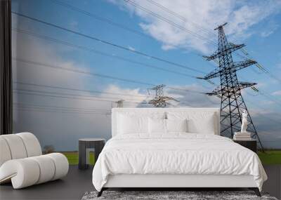 Electrical net of poles on a panorama of blue sky and green meadow Wall mural