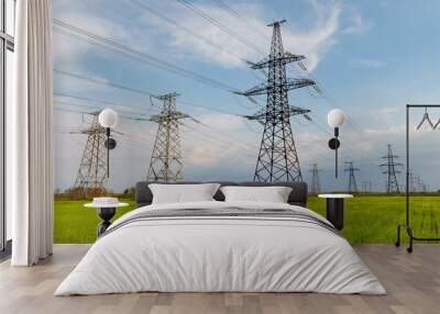 Electrical net of poles on a panorama of blue sky and green meadow Wall mural