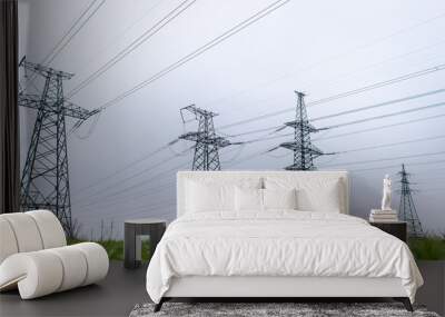 Electrical net of poles on a panorama of gray sky and green meadow Wall mural