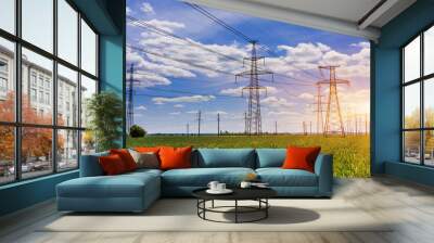 Electricity pylons going into the distance over summertime countryside. Wall mural