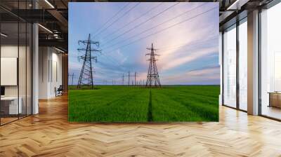 High voltage lines and power pylons in a flat and green agricultural landscape on a sunny day with cirrus clouds in the blue sky Wall mural