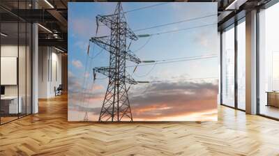 high-voltage power lines. electricity distribution station. high voltage electric transmission tower Wall mural