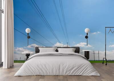 power lines in the spring in a green wheat field Wall mural