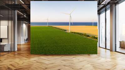 Sunset over the windmills. Wind turbines over fields of wheat and sunflowers Wall mural