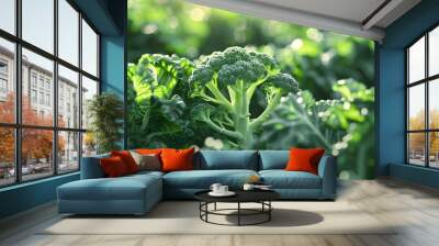 Close-up of Fresh Green Broccoli in Garden Wall mural