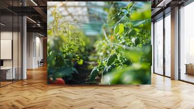 Organic greenhouse where fresh vegetables and herbs image Wall mural