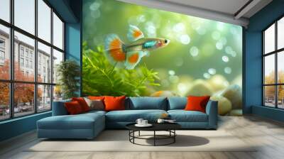 Vibrant Guppy Fish Swimming in a Lush Aquarium Wall mural