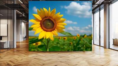 Vibrant Sunflower in a Field of Gold Wall mural