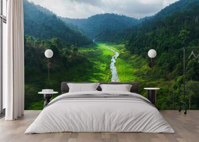 Aerial view of beautiful natural water stream  and green field of grass in the wild forest mountain concept traveling and relaxing on holiday time. Wall mural