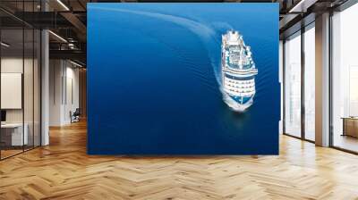 Aerial view of beautiful white cruise ship above luxury cruise in the ocean sea  concept tourism travel on holiday take a vacation time on summer, webinar banner  forwarder mast Wall mural