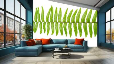 Fern leave on white background. Green nature leaves on white background isolate with clipping path it easy to cut and edit. Wall mural