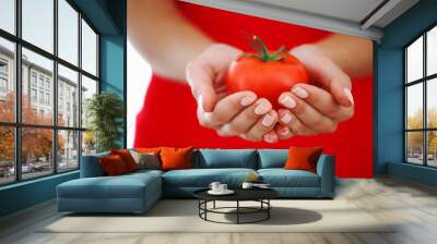 tomato in woman hands Wall mural