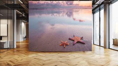 Two starfish on beach Wall mural