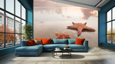 two starfish on sea beach at sunset Wall mural