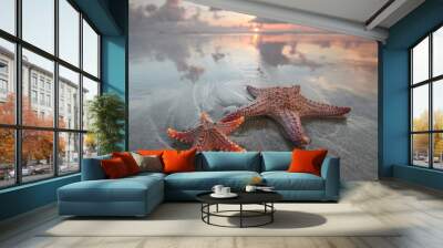 Two starfish on summer beach Wall mural