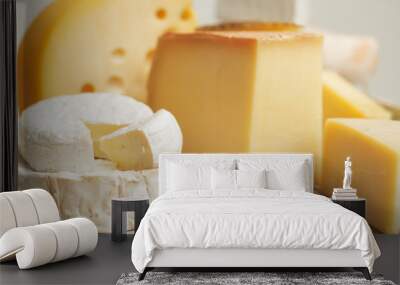 Various types of cheese composition Wall mural