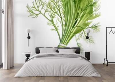 Watercolor of Fennel Fronds on White Background Wall mural