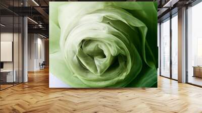 green closeup organza fabric wavy texture Wall mural