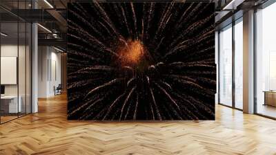 fireworks in the night sky Wall mural