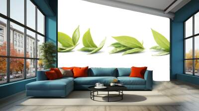 Green tea leaf isolated on transparent background Wall mural