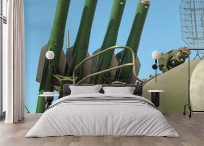 anti-aircraft missiles Wall mural