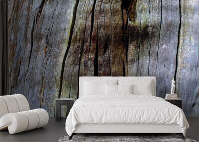 Wood texture. Wood background. Tree trunk. Wall mural