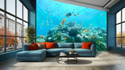 Spectacular Coral reef and water plants in the Red Sea, Eilat Israel Wall mural