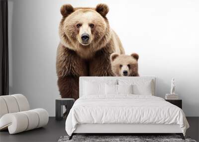 Adult brown bear and cute bear cub, cut out Wall mural