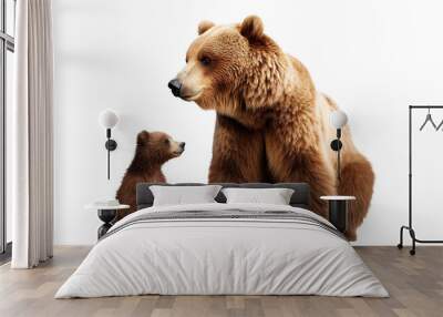 Adult brown bear and cute bear cub, cut out Wall mural