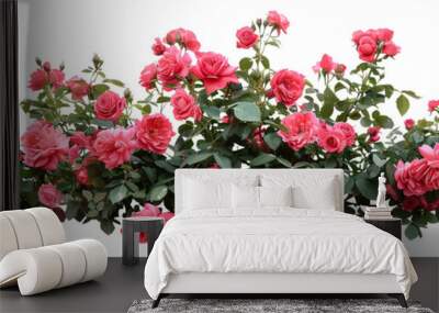 Beautiful pink roses with lush green leaves, cut out Wall mural