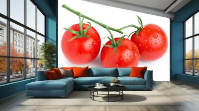 Branch of delicious fresh tomatoes, isolated on white background Wall mural